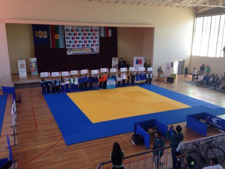 Campeonato de Artes Marciales